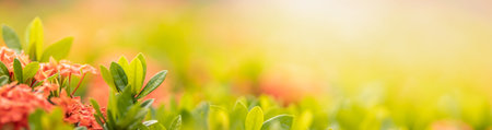 Closeup of beautiful nature view green leaf and red needle flower on blurred greenery background in...