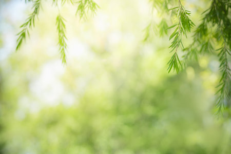Closeup of beautiful nature view green leaf on blurred greenery background in garden with copy space using as background cover page concept.の写真素材