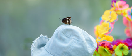 Nature view of beautiful black butterfly on denim hat with copy space using as background insect, natural landscape, ecology, cover page concept.の写真素材
