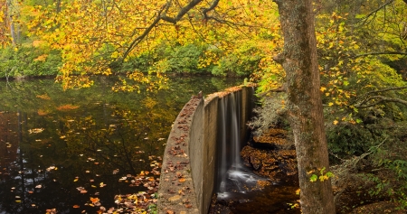 A small lake in the Appalachian Mountains of North Carolina with manmade dam, in autumnの写真素材