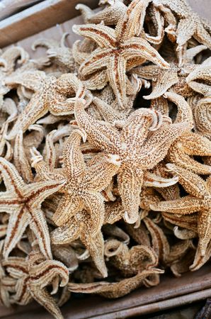 dried starfish in a chinatown medicine shopの写真素材