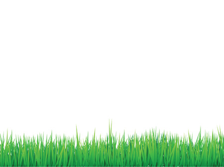 grass borders background,  can be arranged for seamless effectのイラスト素材