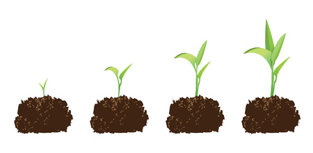 seedling or germination of a seed, to illustrate concept of growth. のイラスト素材