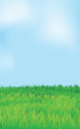 landscape, blue sky and green field.のイラスト素材