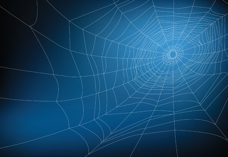 spider web illustration, for background.のイラスト素材