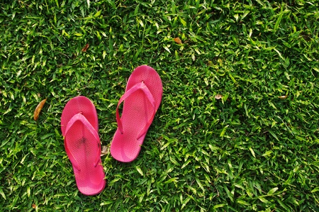 A pair of slippers are left on field of a relaxed day.の写真素材