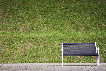 a single bench in a park, waiting for someone.の写真素材