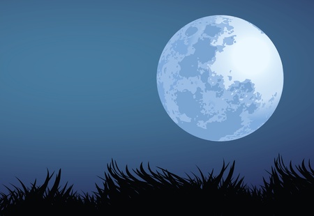 illustration of full moon night.のイラスト素材