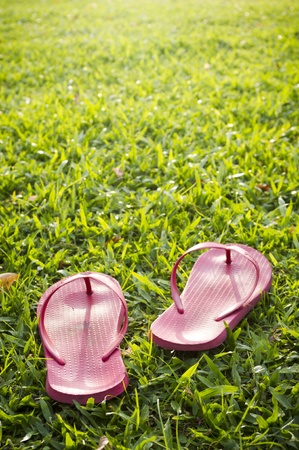 A pair of slippers are left on field of a relaxed day.の写真素材
