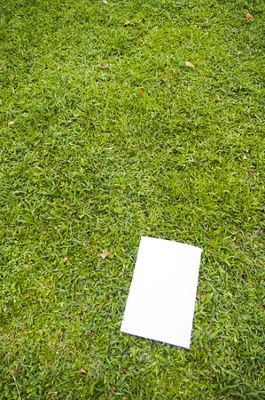 blank white flyer on grass, to replace with own images or messages.の写真素材