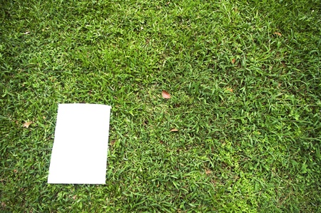 a white board is on a grass field, for message display. clipping path of the white board is in jpg.の写真素材
