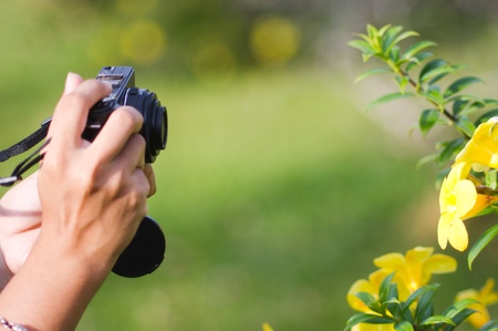 a pair of hands holding a camera and taking picture on a flowerの写真素材