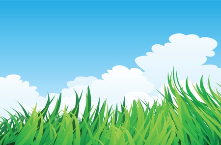 countryside illustration, green grass and blue sky.のイラスト素材