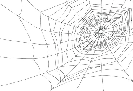 spider web or cobweb illustrations  のイラスト素材