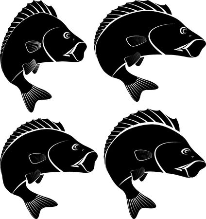 Silhouette of perch fish flat icon design vector illustrationのイラスト素材