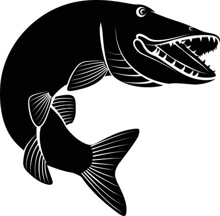 Pike fish - clip art illustration on white background.のイラスト素材
