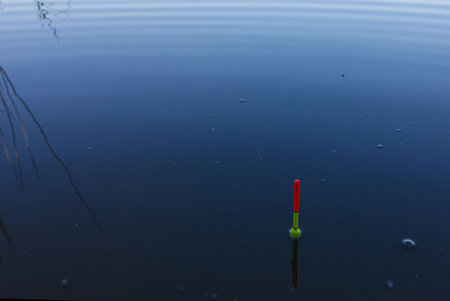 Fishing float on the waterの写真素材