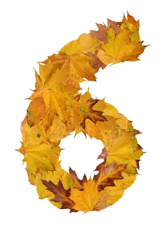 number from autumn leavesの写真素材