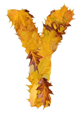 letter from autumn leavesの写真素材