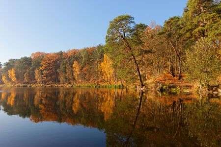 Autumn Trees Around Lakeの写真素材