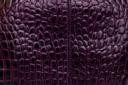 varnished crocodile leatherの写真素材