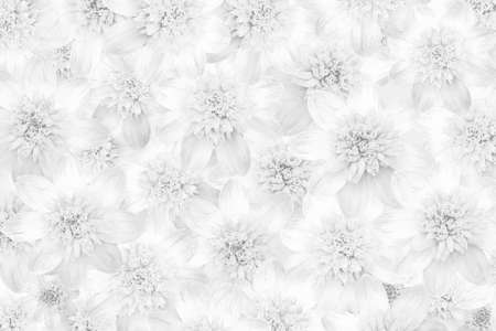 white background with flowers patternの写真素材