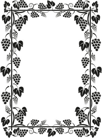 isolated frame with grapesのイラスト素材