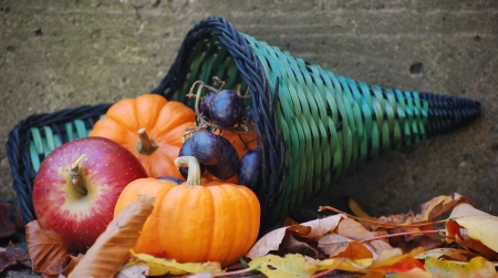 cornucopia with apple, leaves,gourds and grapesの写真素材