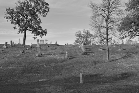 Landscape 3の写真素材