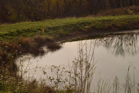 water landscape.の写真素材