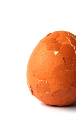 broken egg shell 9