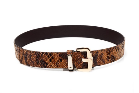 Snake leather belt isolated on white backgroundの写真素材