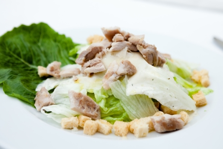 Caesar salad with chicken filletの写真素材