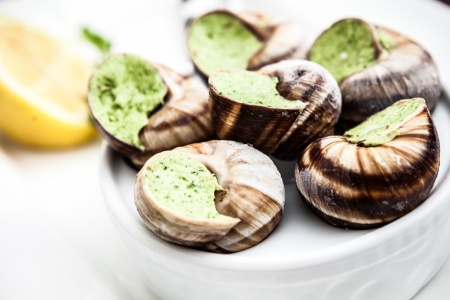 Escargots with garlic butter and lemonの写真素材