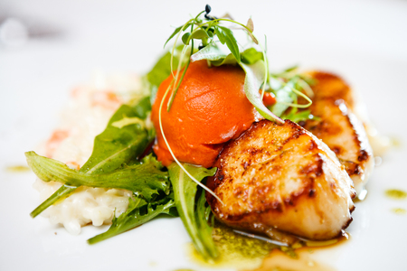 Gourmet food scallopsの写真素材