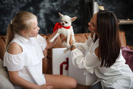 Mother and daughter relationship concept. A woman congratulates happy teenage girl on her birthday and gives her a gift. A dog in box. The family celebrates anniversary at home.の写真素材