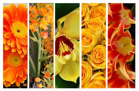 borders of yellow flowersの写真素材