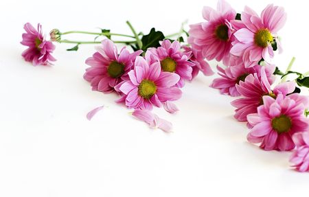 bunch of flowersの写真素材