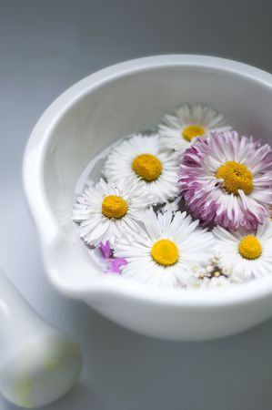 mortar and pestle with chamomilleの写真素材