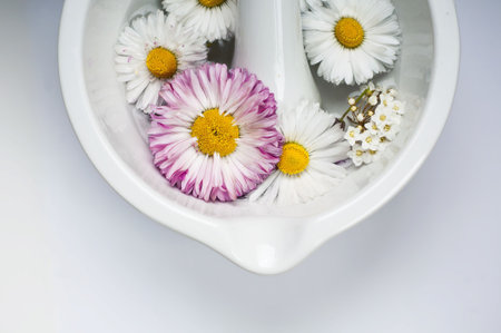 mortar and pestle with chamomille