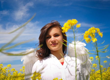 girl with white wings in a yellow fieldの写真素材