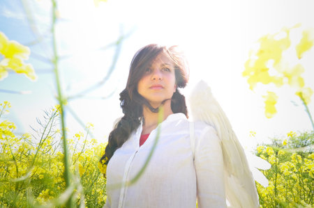 girl with white wings in a yellow fieldの写真素材