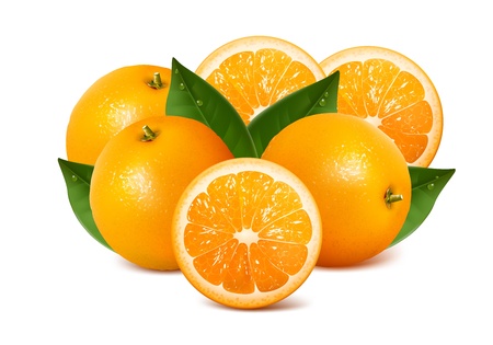 Orange studio isolated on white backgroundのイラスト素材