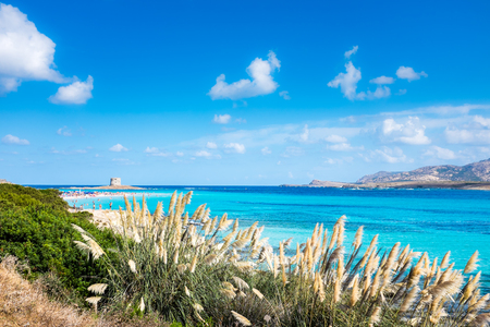 The beautiful Pelosa beach in Stintino in Sardinia, with the tower in the backgroundの写真素材