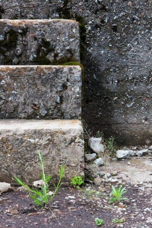 weeds grow at the base of an crumbling, early centuryの写真素材