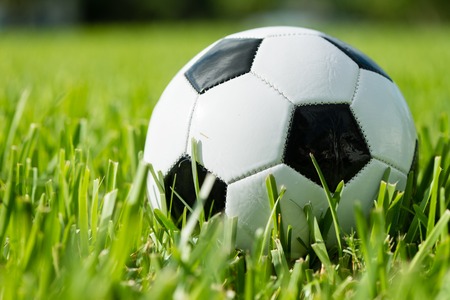 Black and white traditional soccer ball football futbol on grassの写真素材