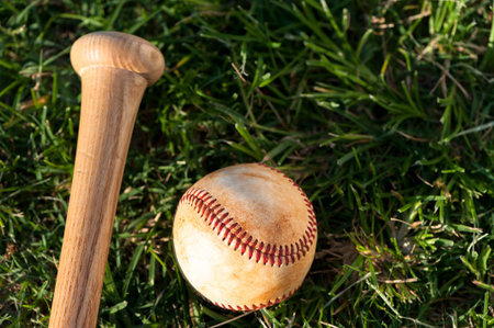 Close up of baseball and bat on grass