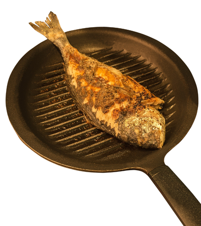 sparus aurata fried in the pan isolated on white backgroundの写真素材