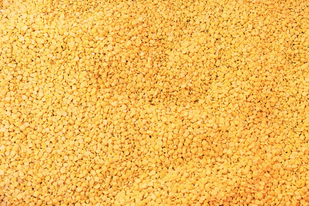 yellow peeled split mung beanの写真素材