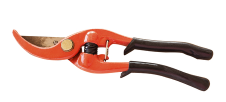 red prunning shears for trees isolated on white backgroundの写真素材